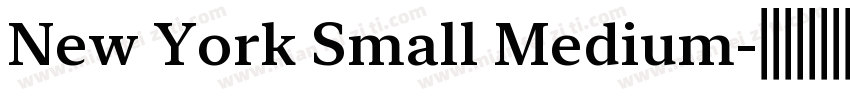 New York Small Medium字体转换